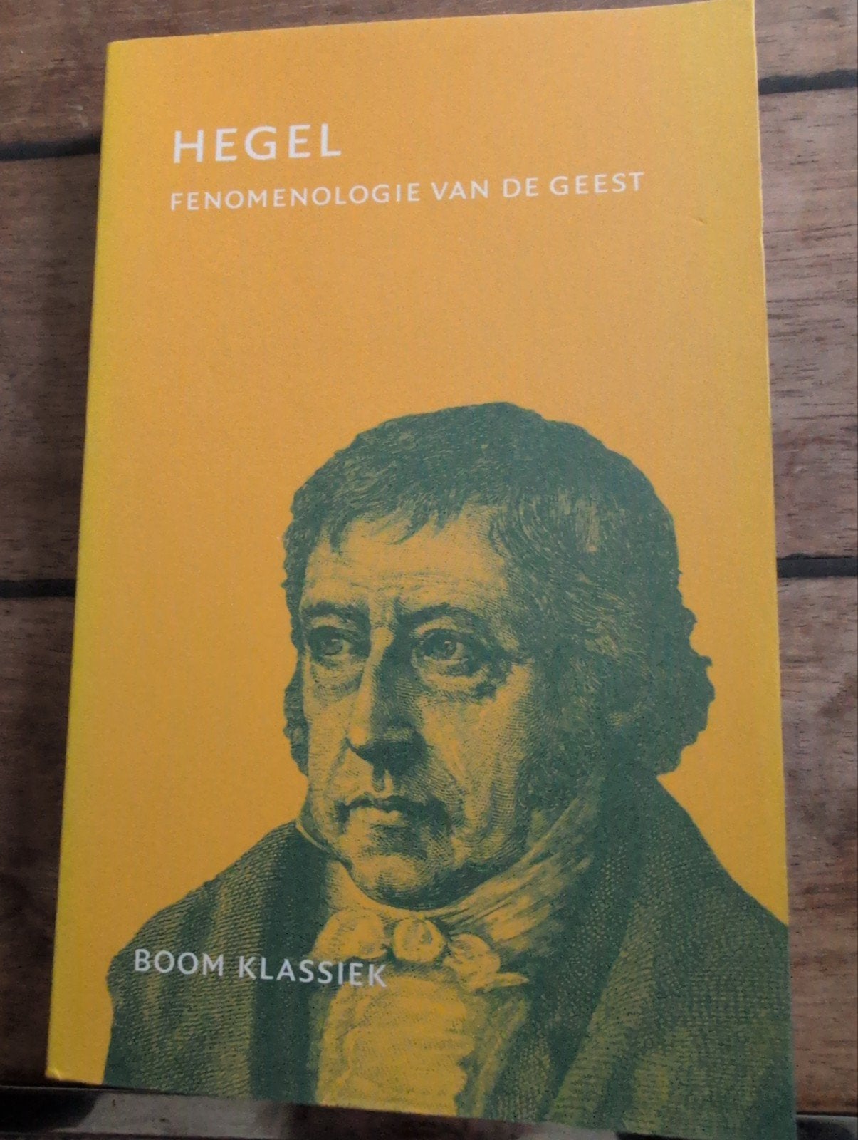 Hegel - Fenomenologie van de Geest, Boeken, Filosofie, Ophalen of Verzenden, Zo goed als nieuw, Wijsbegeerte of Ethiek, G.W.F. Hegel