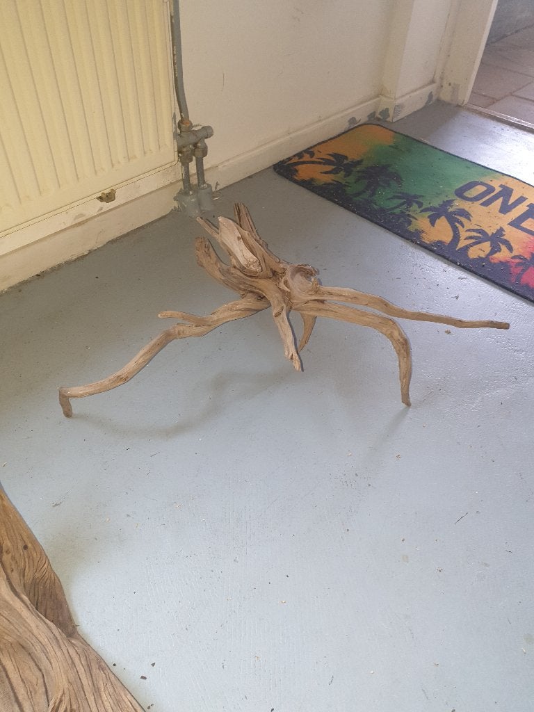 Aquarium hout, Dieren en Toebehoren, Ophalen of Verzenden, Zo goed als nieuw, Plant(en), Steen of Hout