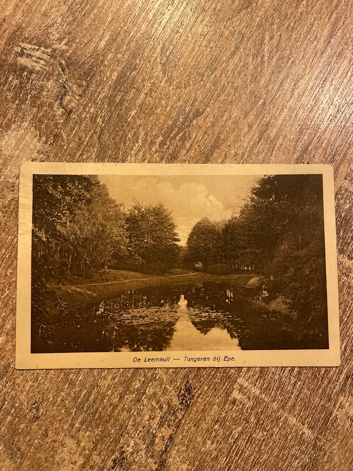 Oude ansichtkaart 'De Leemkuil - Tongeren bij Epe', Ophalen of Verzenden, Gelopen, Gelderland