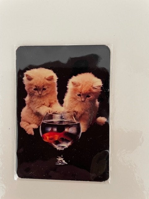 Magneet Magneten Poezen Katten en Vis, Poes Kat, Nieuw, Ophalen of Verzenden, Nieuw, Dier