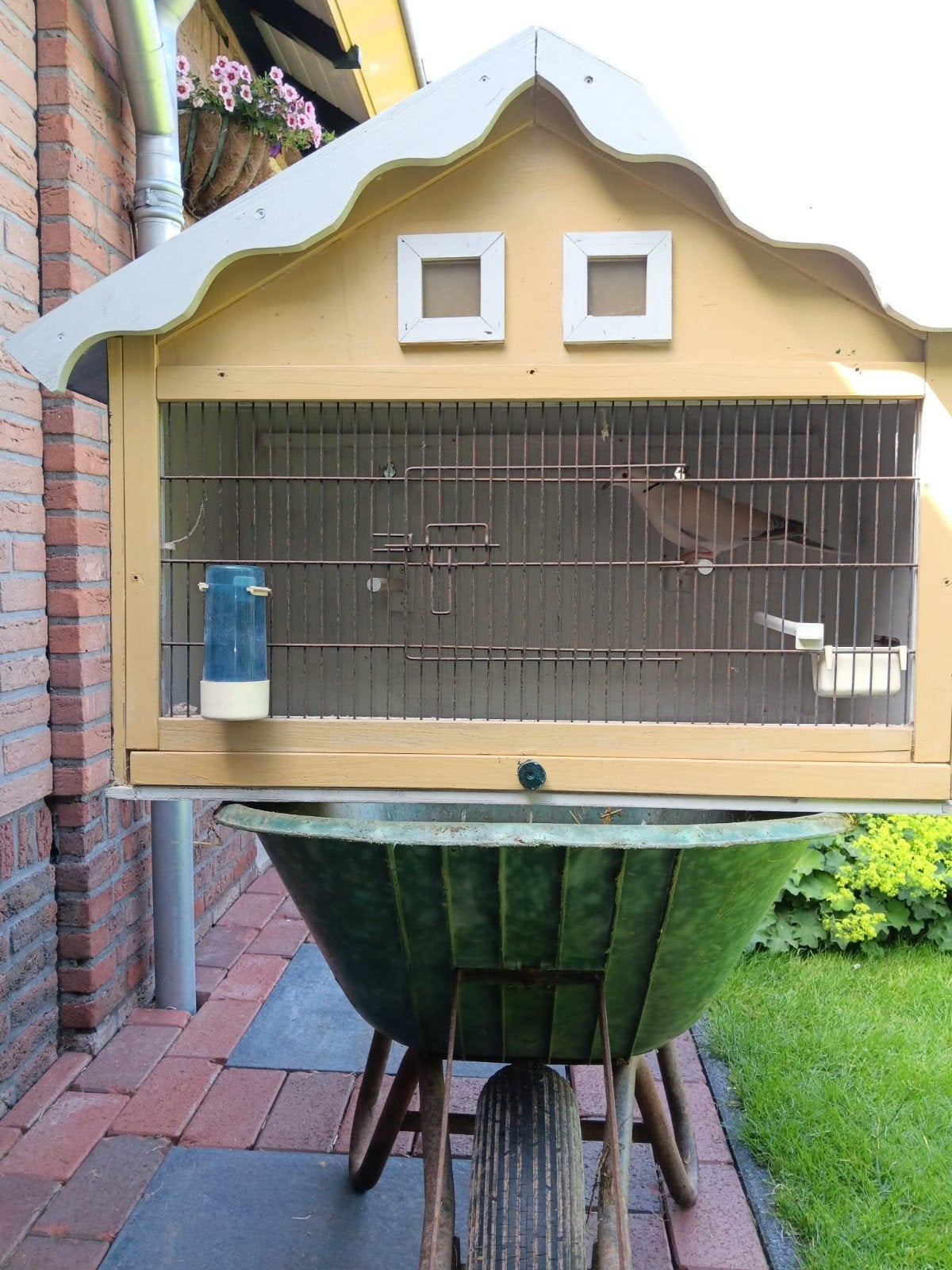 Duivenhok, duivenkooi, Dieren en Toebehoren, Ophalen of Verzenden, Metaal, Vogelkooi