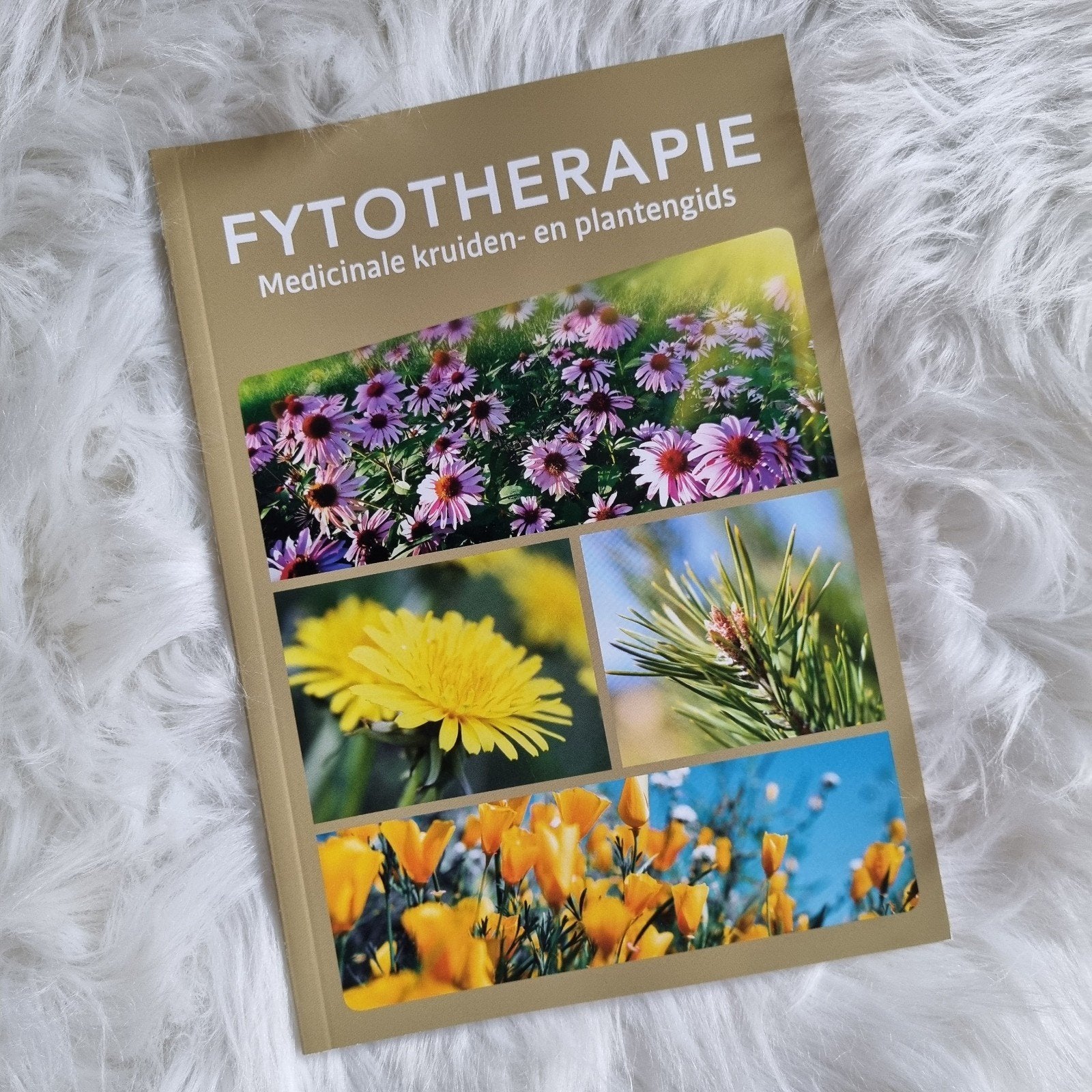Fytotherapie Medicinale kruiden- en plantengids- nieuw!, Boeken, Gezondheid, Dieet en Voeding, Ophalen of Verzenden, Nieuw, Kruiden en Alternatief