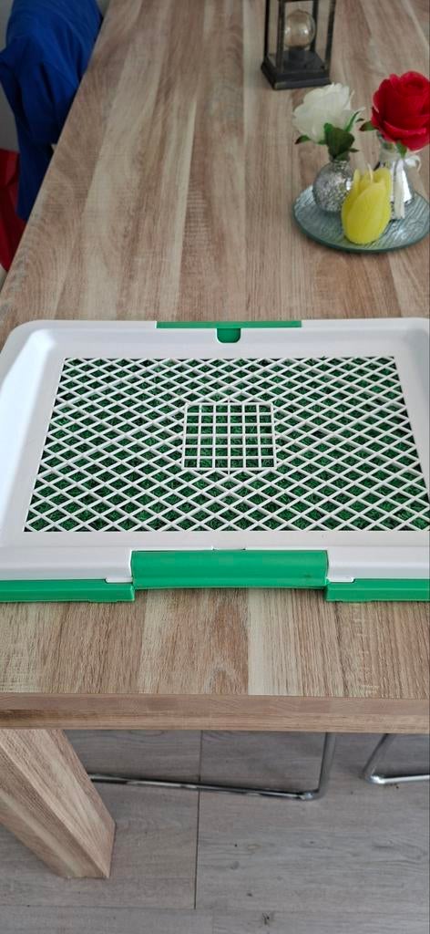Hondentraining toilet, Ophalen, Minder dan 75 cm, Kooi, Minder dan 60 cm