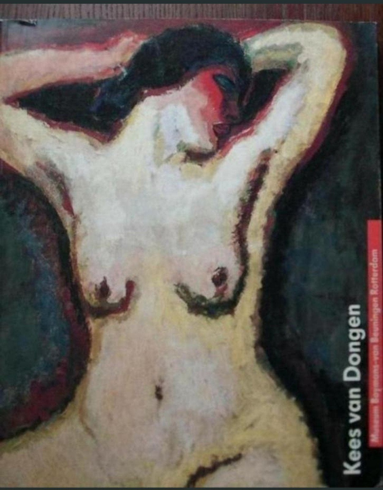 KEES VAN DONGEN Fauvisme. Monografie. Boijmans, Nederlands, Boeken, Kunst en Cultuur | Beeldend, Zo goed als nieuw, Verzenden