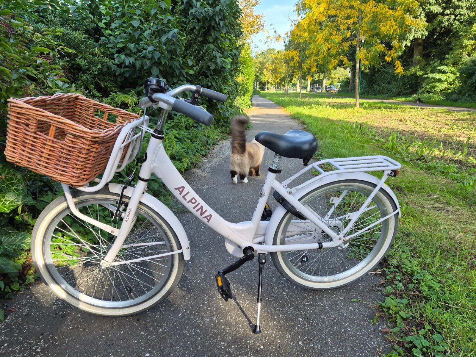 Alpina clubb fiets 22 inch uit 2024. Nette en veilige fiets, Ophalen, Terugtraprem, 22 inch, Alpina Clubb