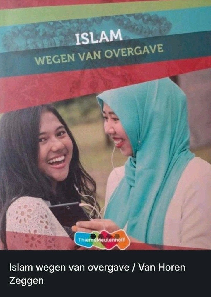 Islam wegen van overgave - Van Horen Zeggen, Boeken, Studieboeken en Cursussen, Gelezen, Ophalen of Verzenden, Thiemo Meulenhoff