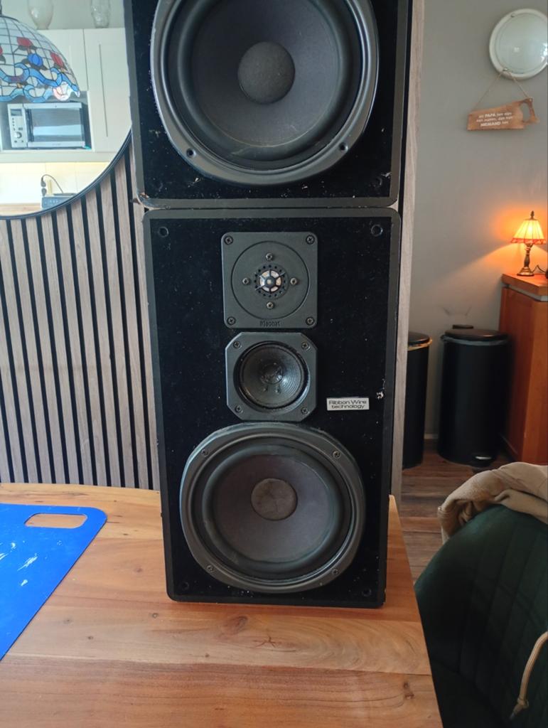 Magnat All Ribbon 5m speakers - Werken nog goed, Audio, Tv en Foto, Luidsprekers, Ophalen of Verzenden