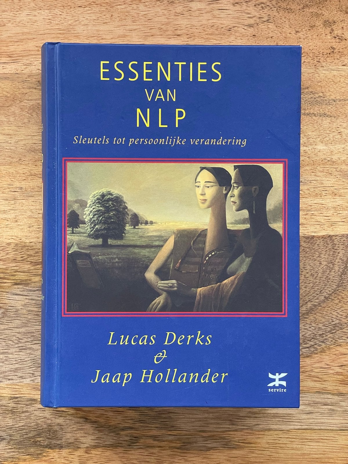 Essenties van NLP: Sleutels tot persoonlijke verandering, Ophalen of Verzenden, Gamma, Zo goed als nieuw, Overige niveaus