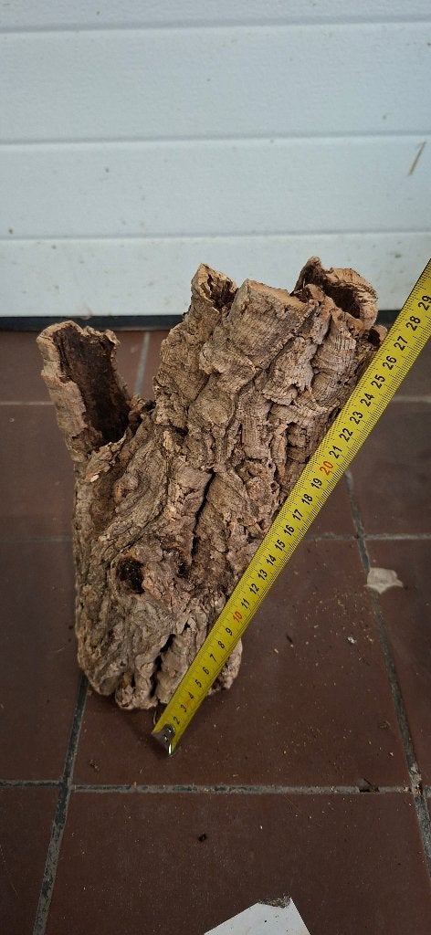 Kurktunnel/stam 28cm, Ophalen of Verzenden, Zo goed als nieuw, Tak, Plant, Rots of Steen