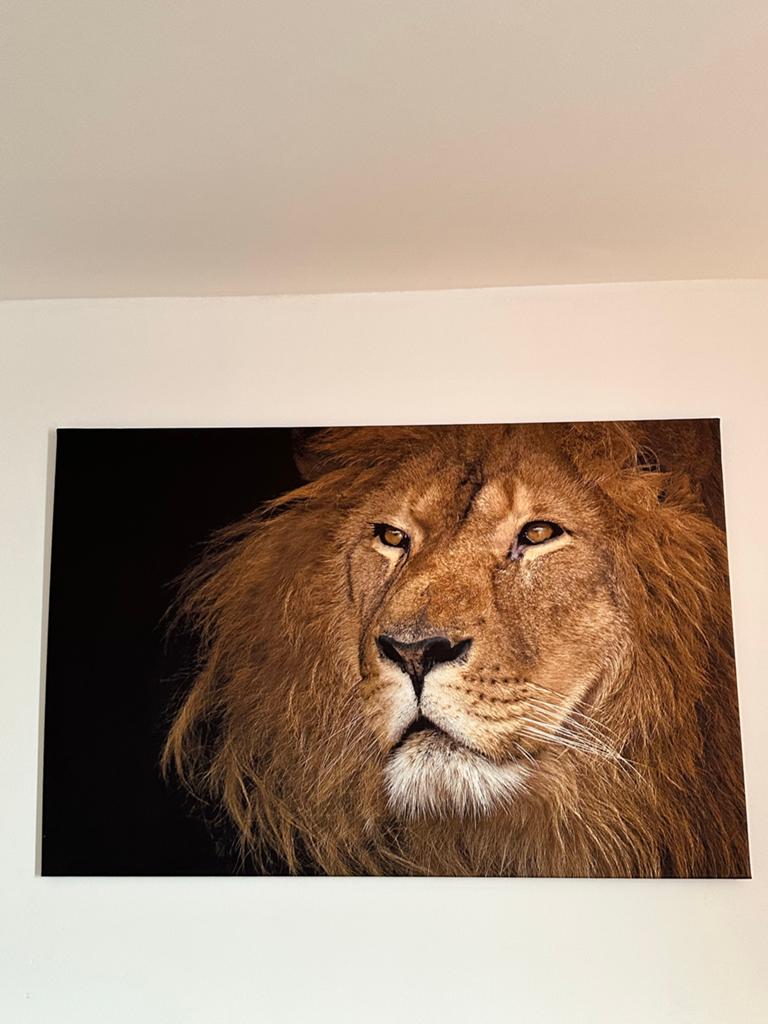 Mooie schilderijen te koop, Ophalen