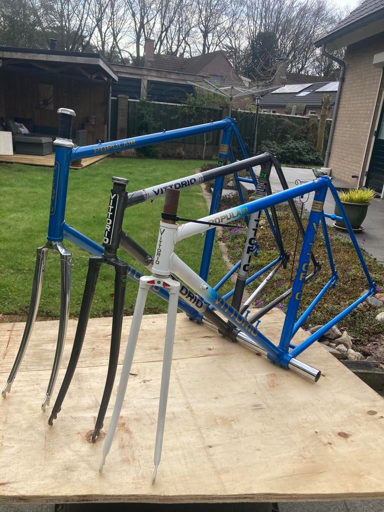 Vittorio stalen frames, Fietsen en Brommers, Fietsen | Racefietsen, Overige merken, Staal, Ophalen of Verzenden, Zo goed als nieuw