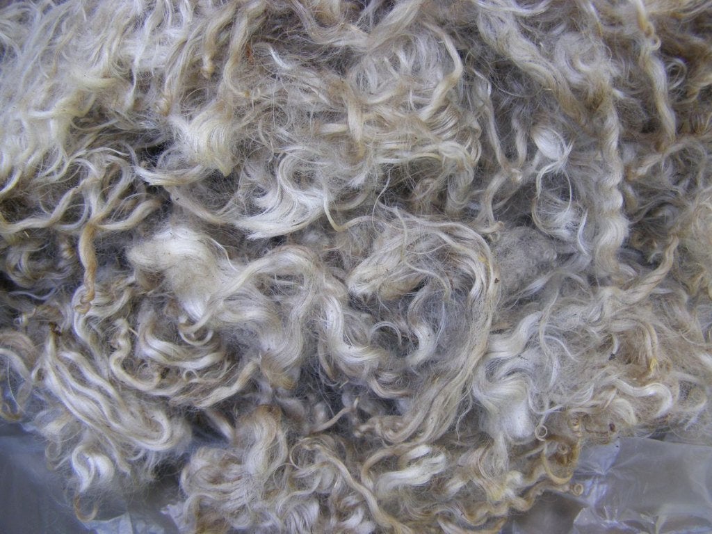 Schapenwol van aparte rassen voor spinnen en vilten spin wol, Ophalen of Verzenden, Nieuw, Spinwol