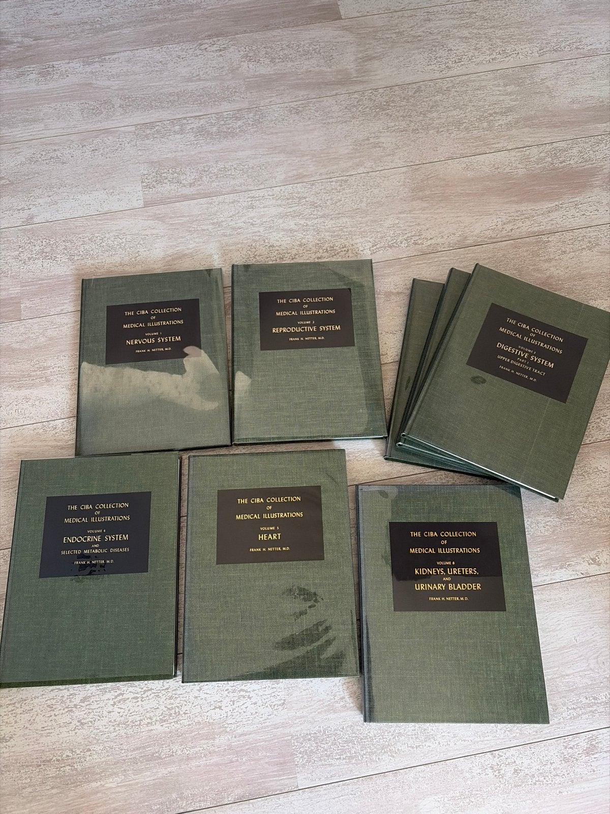 The CIBA Collection of Medical Illustrations - Frank H. Nett, Ophalen, Beta, Gelezen, WO
