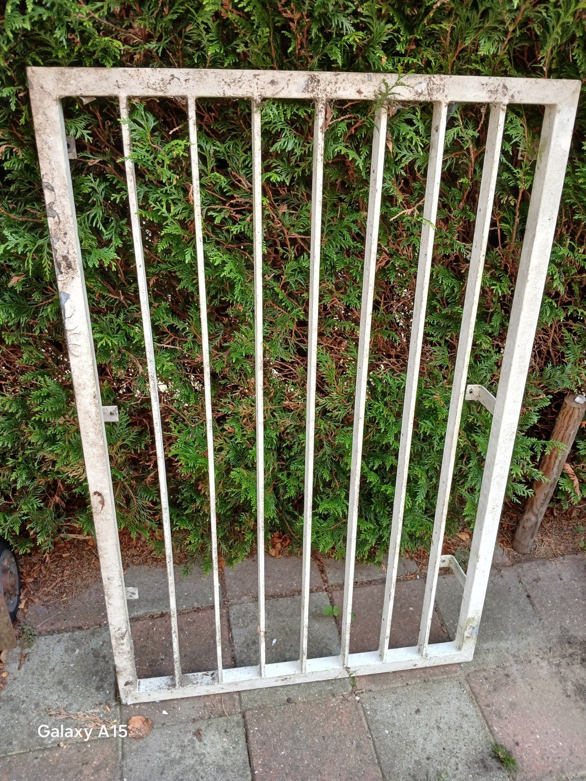 Frans balkon, Tuin en Terras, Ophalen, IJzer, Sierhekwerk