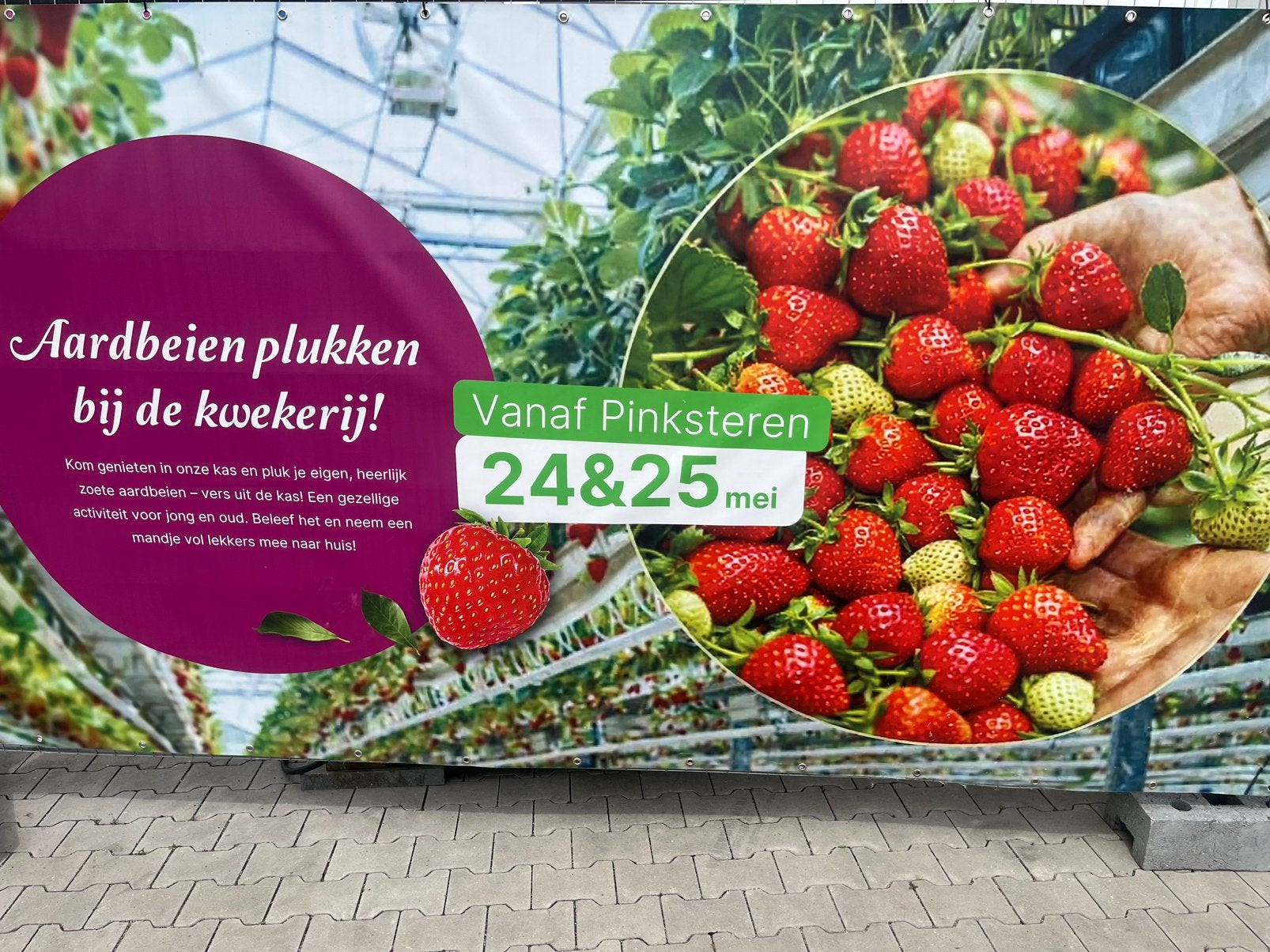 Aarbeienpluktuin, Zakelijke goederen, Agrarisch | Aardappelen, Groenten, Fruit en Vlees, Ophalen of Verzenden