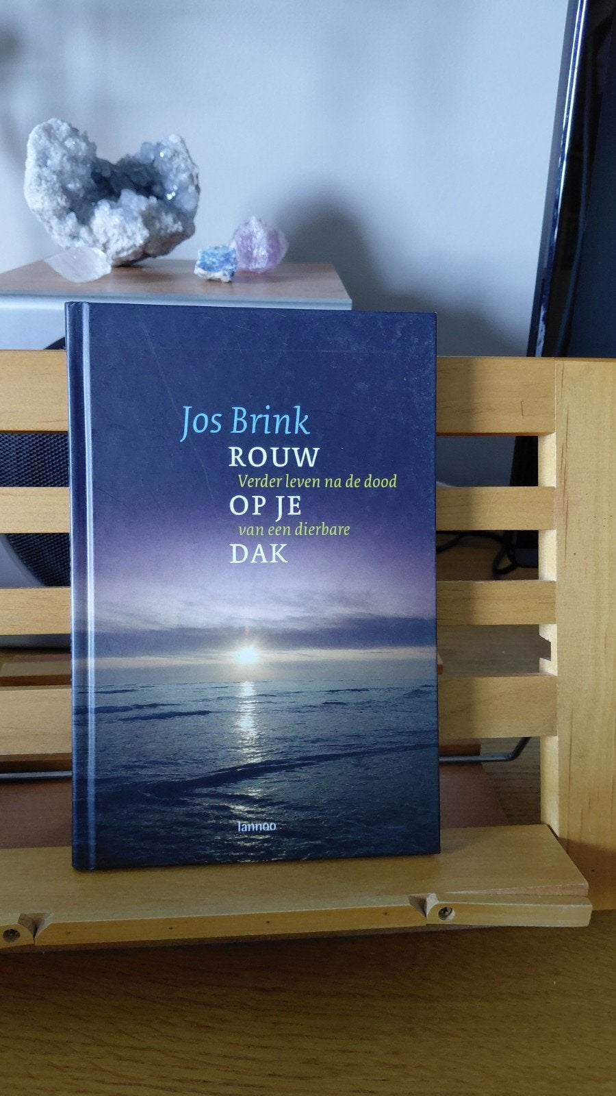 Jos Brink - Rouw op je dak, Boeken, Ophalen of Verzenden, Gelezen, Jos Brink, Religie