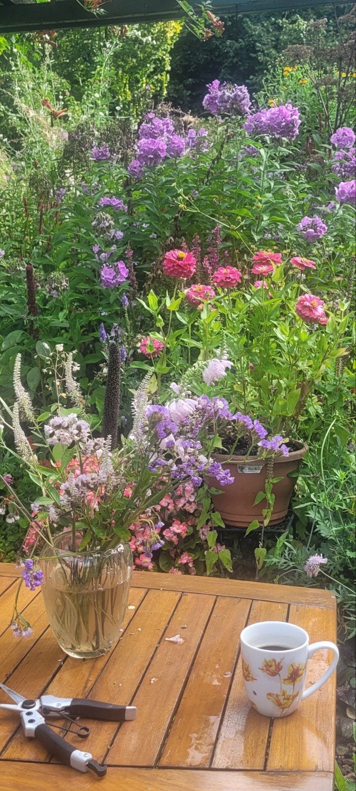 40 soorten planten in potje. Lees de tekst, Ophalen, Overige soorten, Volle zon