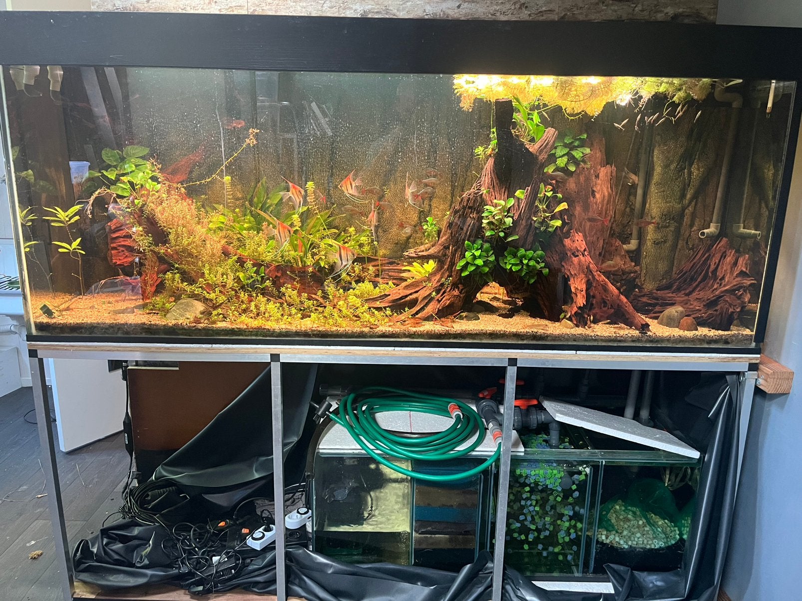 2 meter aquarium compleet, Ophalen, Zo goed als nieuw