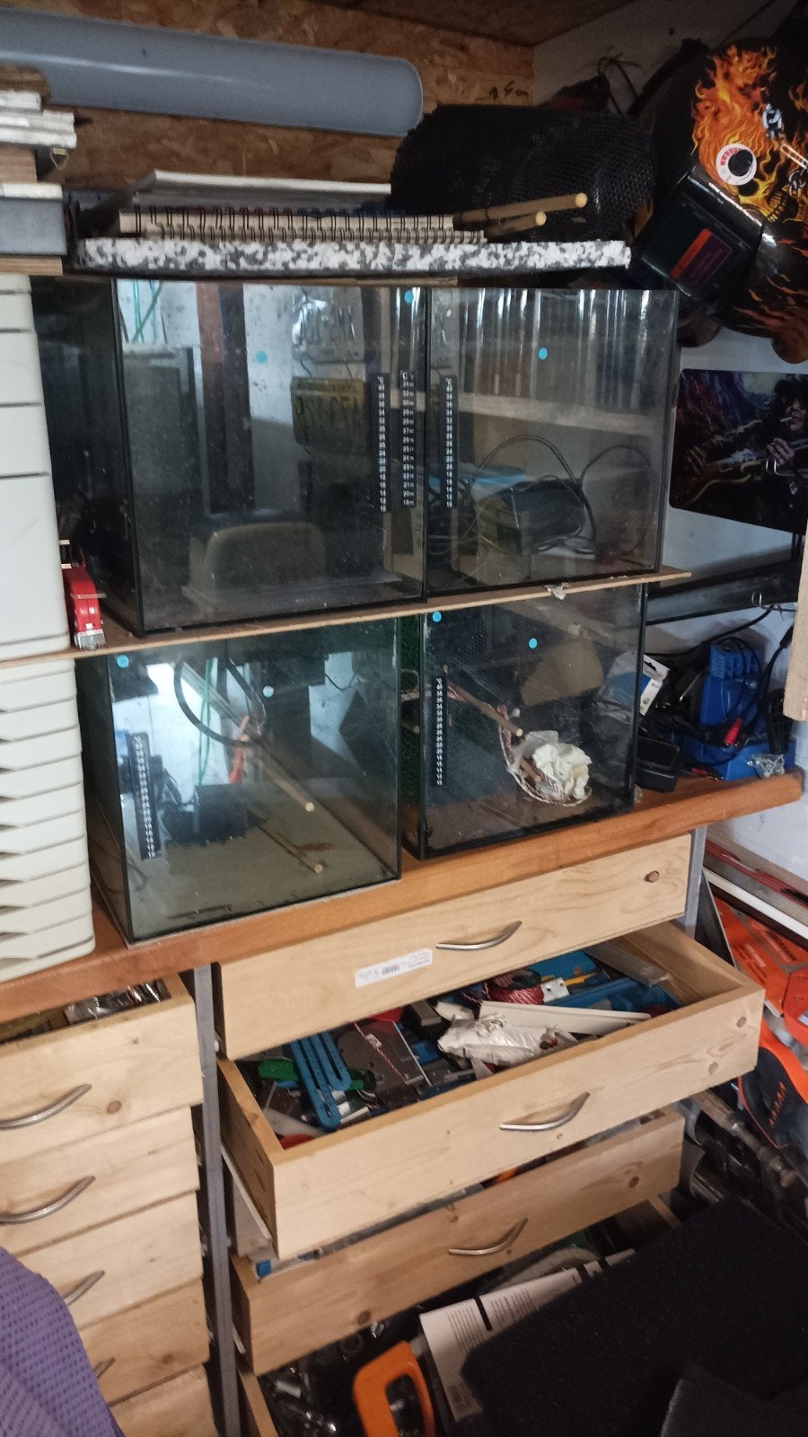 Te koop diverse maten aquarium's 50x30x30 en 60x30x30, Ophalen, Gebruikt, Overige typen