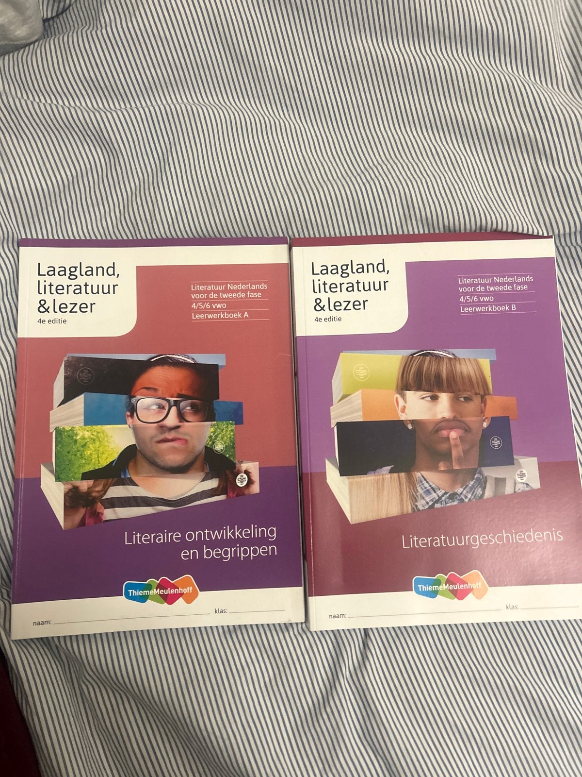 Laagland, literatuur & lezer 4e editie VWO A & B boekenset, Boeken, Ophalen of Verzenden, Nieuw, VWO, Nederlands