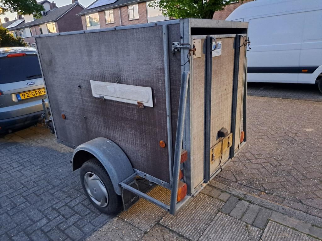 Wesco kleinveetrailer ideaal voor schapen, Vrouwelijk, Schaap