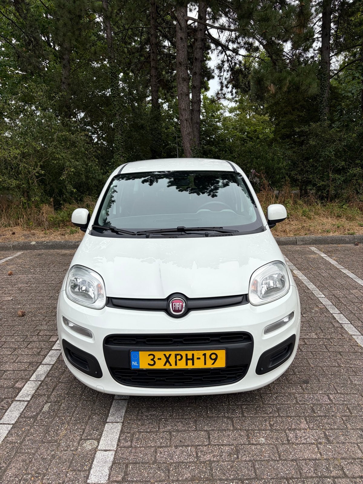 Fiat Panda 0.9 -Dealer onderhouden- 3mnd BOVAG garantie, Voorwielaandrijving, 31 €/maand, Panda, Wit