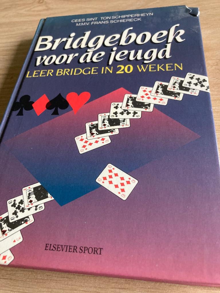 Boek Cees Sint, Ton Schipperheyn, Ophalen of Verzenden, Gelezen, Overige onderwerpen