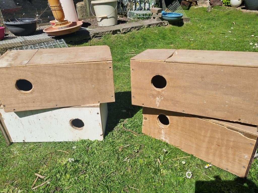 Grasparkieten nestblokken 4x, Ophalen of Verzenden, Zo goed als nieuw, Overige typen