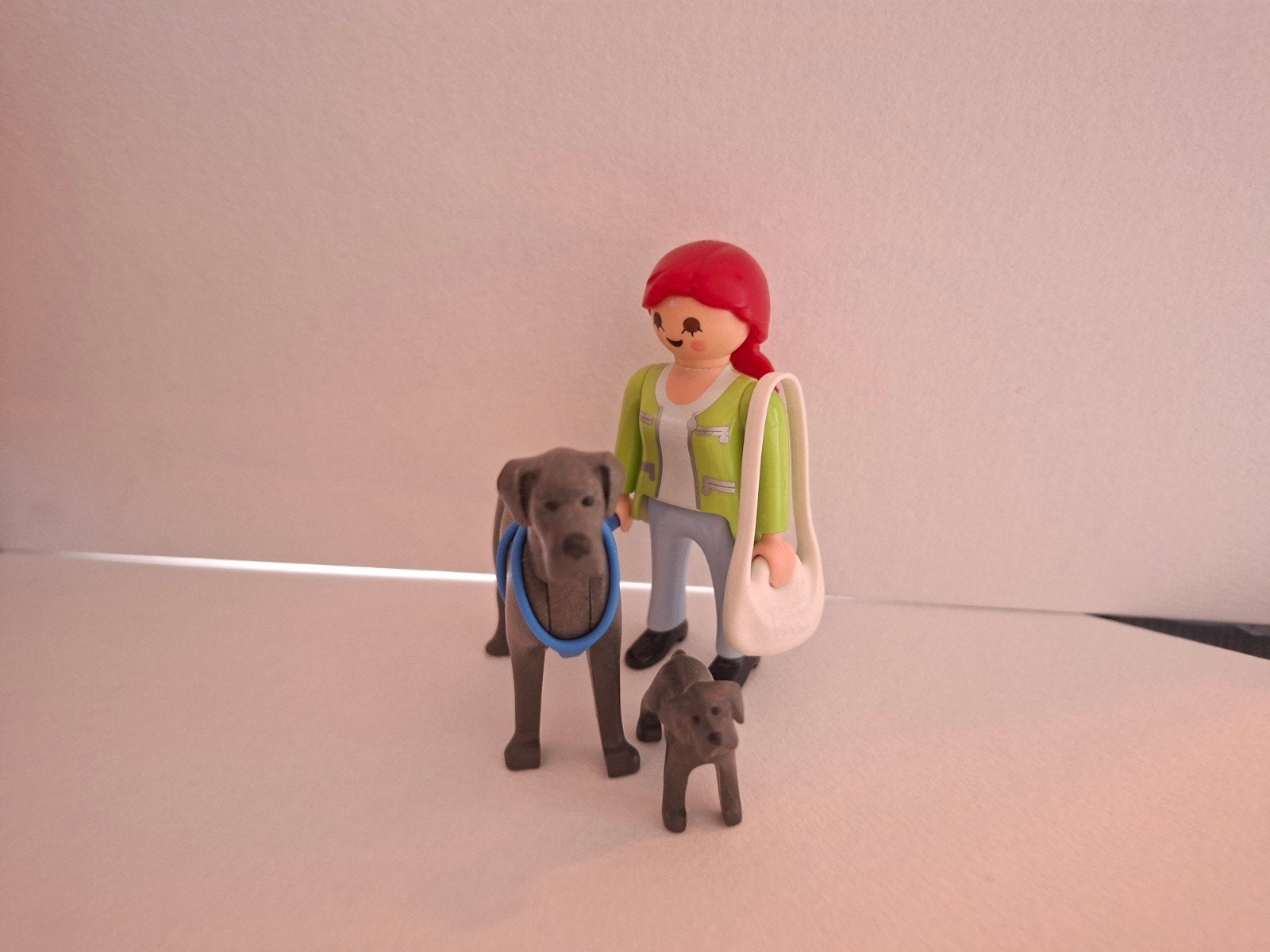 Playmobil 5210: Deense dog met puppy, Ophalen, Gebruikt, Complete set, City life