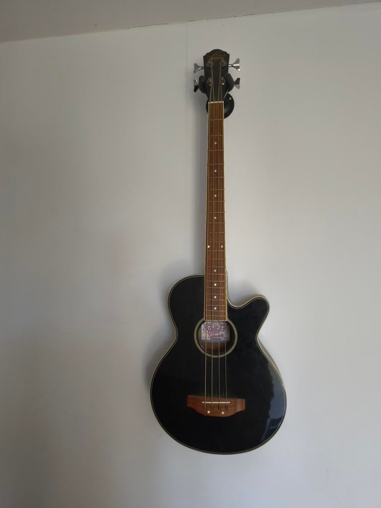 Semi-akoestische basgitaar + toebehoren, Ophalen, Zo goed als nieuw, Semi-akoestisch