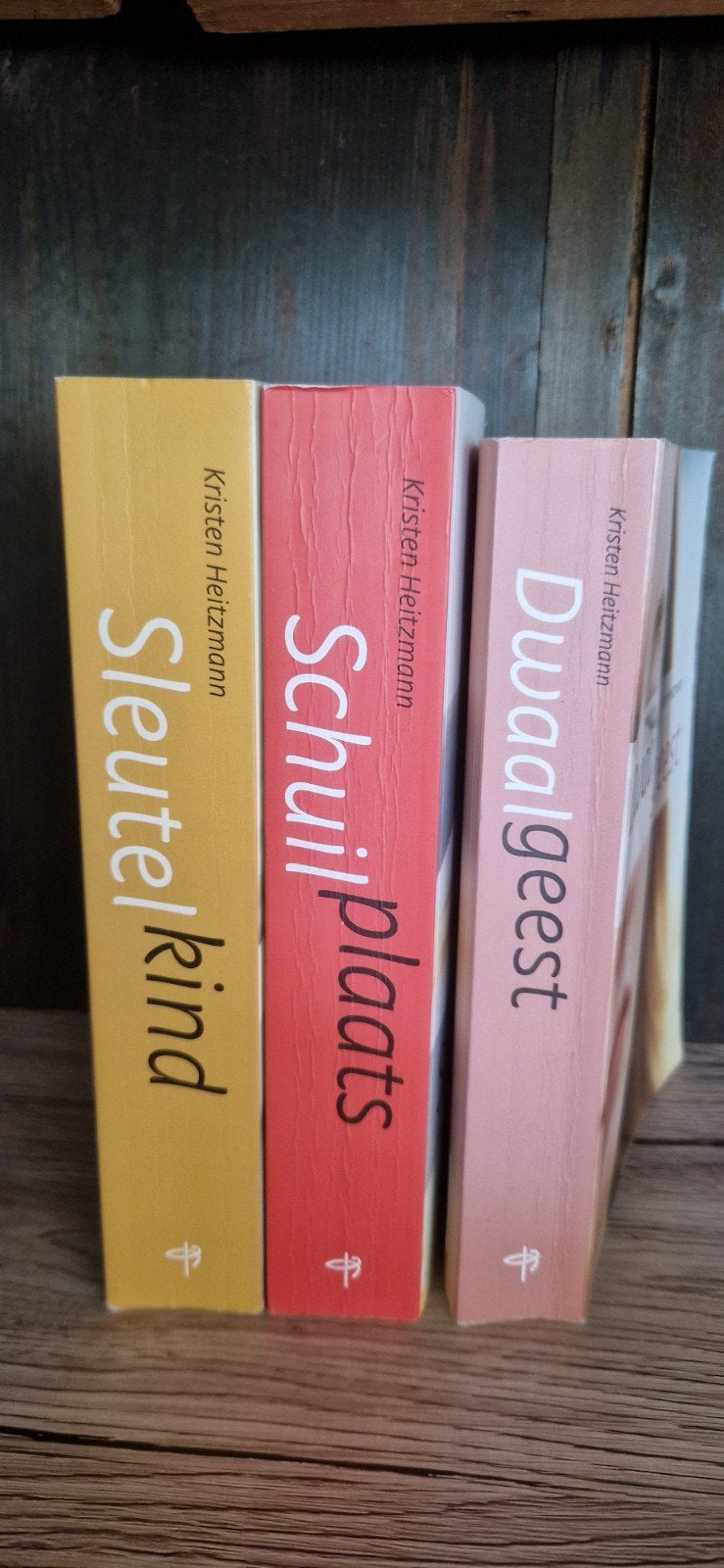 Kristen Heitzmann: Sleutelkind, Schu, Ophalen of Verzenden, Gelezen, Kristen Heitzmann, Nederland