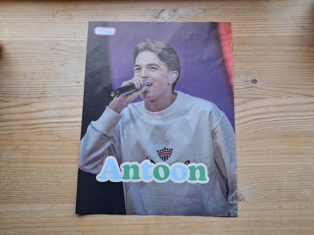 Antoon poster, Ophalen of Verzenden, Nieuw