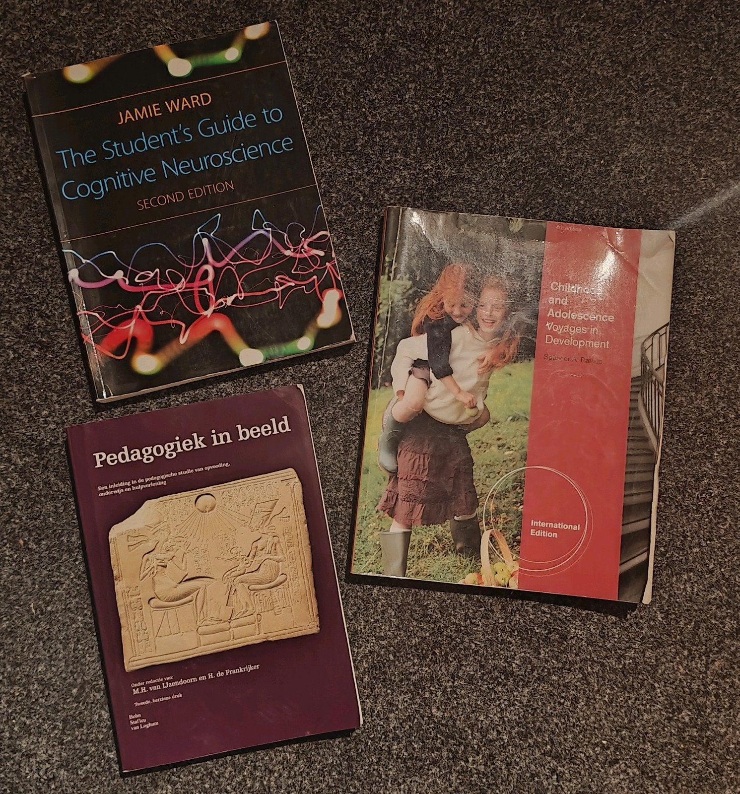 Pedagogiek boeken: neuroscience, child development, Ophalen of Verzenden