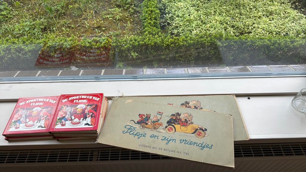 Flipje boeken, Boeken, Ophalen, Gelezen