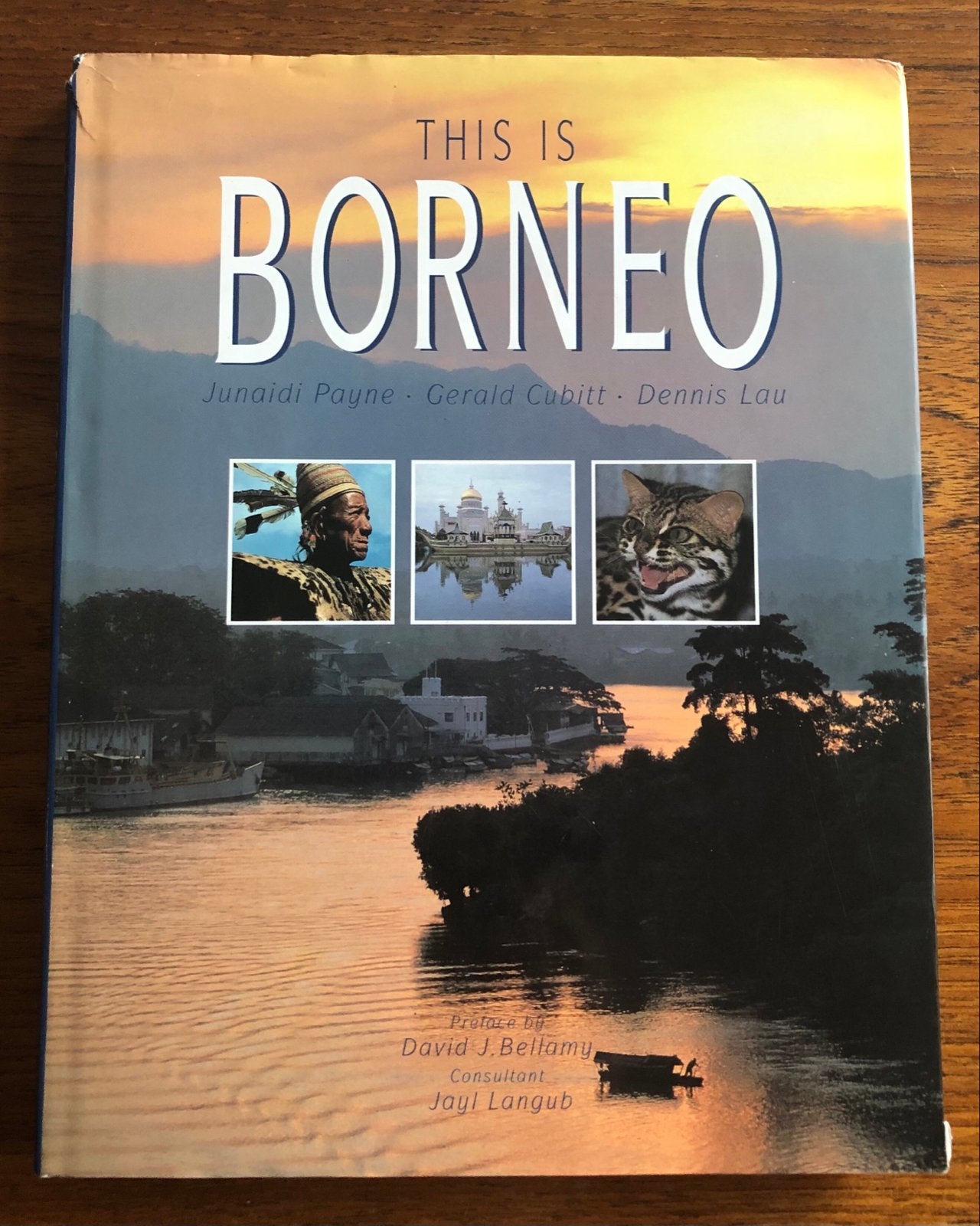 This is Borneo - Boek met prachtige foto's Dayak Indonesië, Boeken, Overige merken, Ophalen of Verzenden, Zo goed als nieuw, Reisgids of -boek