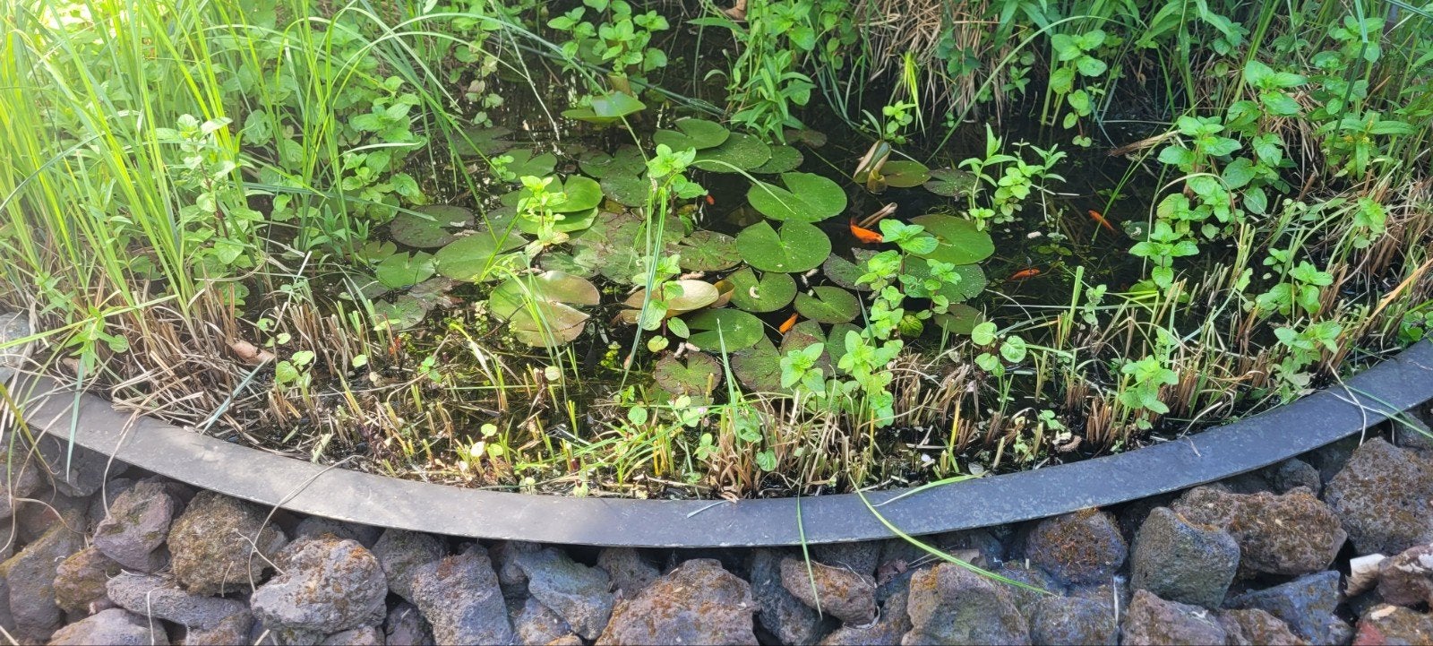 Vijver, Tuin en Terras, Ophalen of Verzenden, Gebruikt