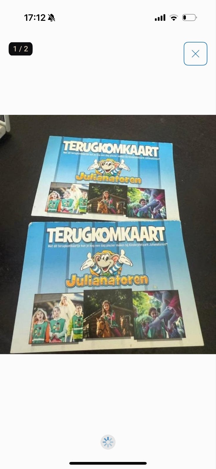 Julianturen terugkomkaarten, Tickets en Kaartjes, Drie personen of meer, Ticket of Toegangskaart