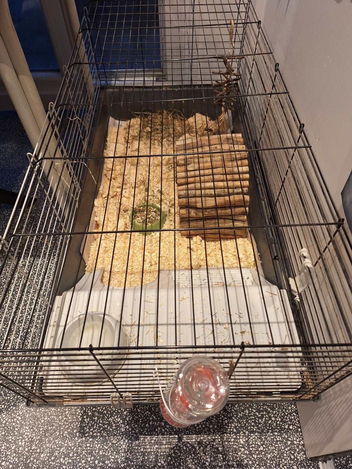 Nette caviakooi met toebehoren, Dieren en Toebehoren, Knaagdieren en Konijnen | Hokken en Kooien, Kooi, Ophalen, Minder dan 60 cm
