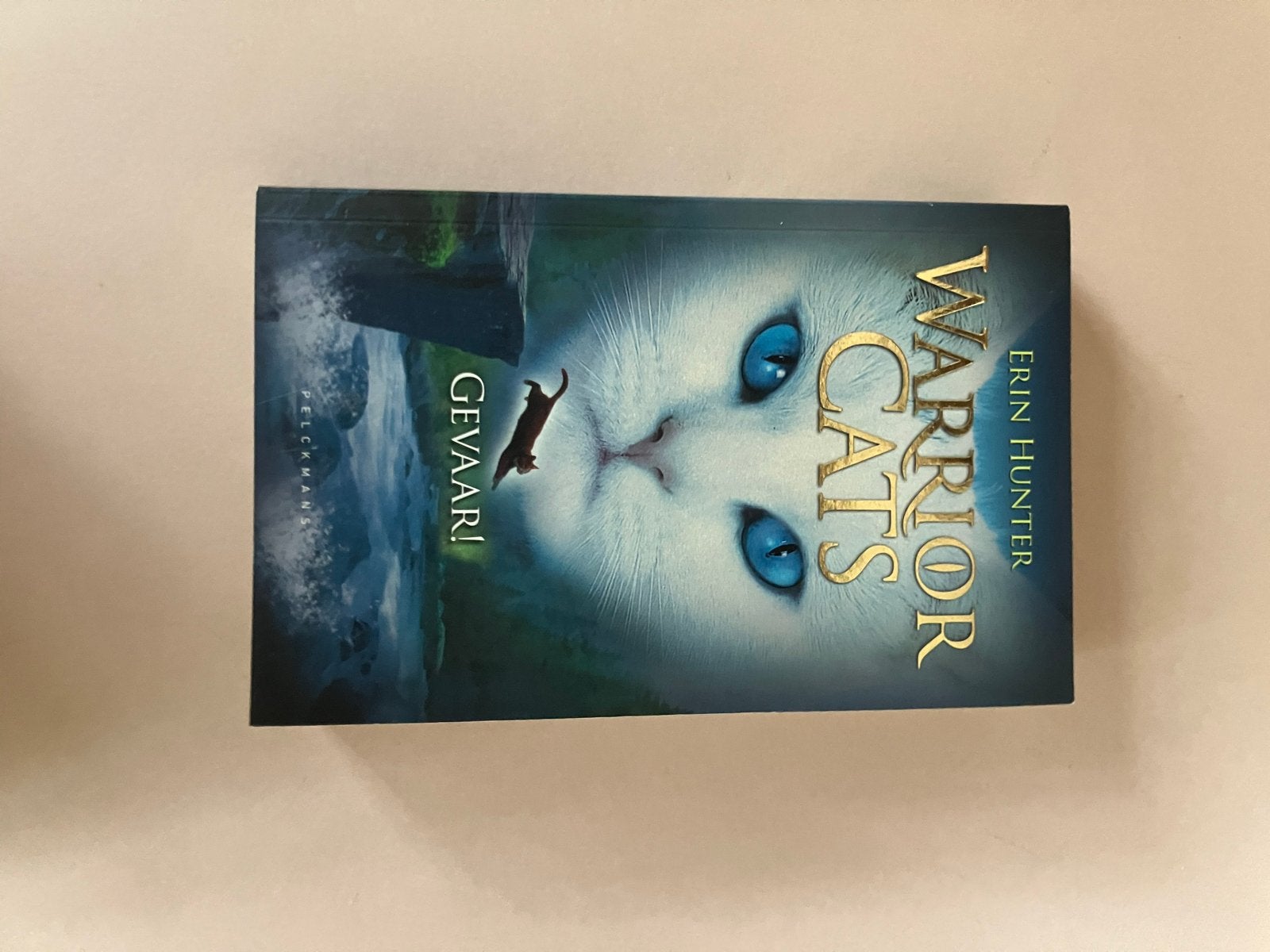 Warrior Cats: Gevaar! - Erin Hunter (Boek), Ophalen of Verzenden, Gelezen