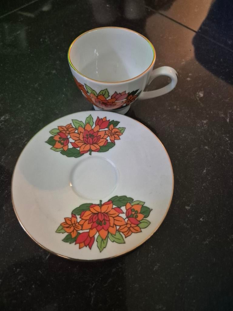 Royal Manufactura Porselein - 6 kopjes en 6 schoteltjes, Ophalen of Verzenden