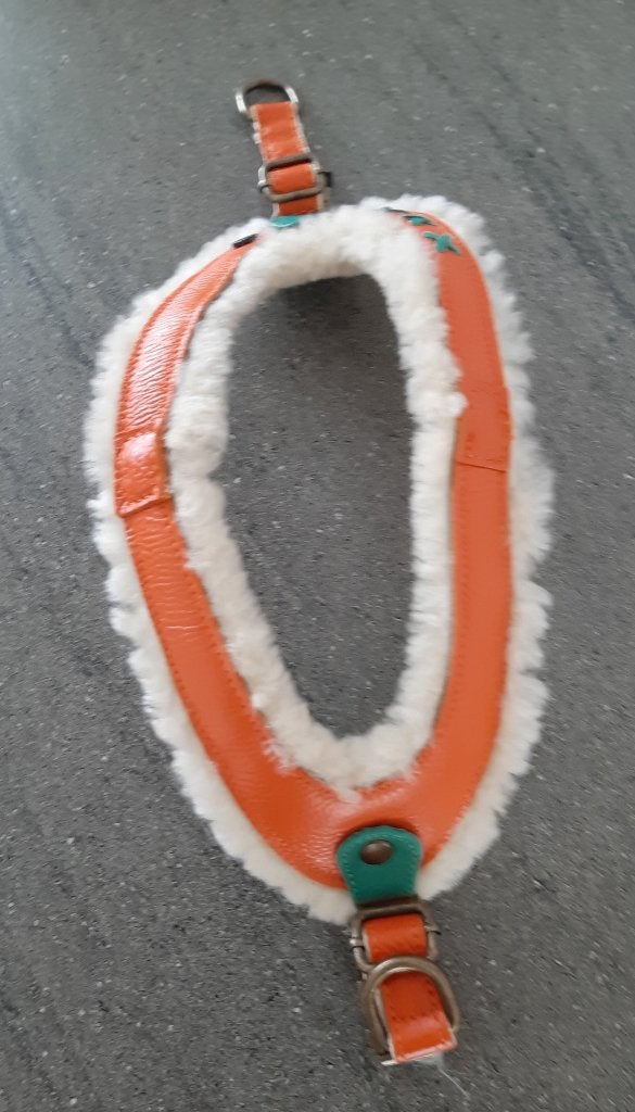Hondentuigje van DWAM, Ophalen of Verzenden, Nieuw, Hondenriem