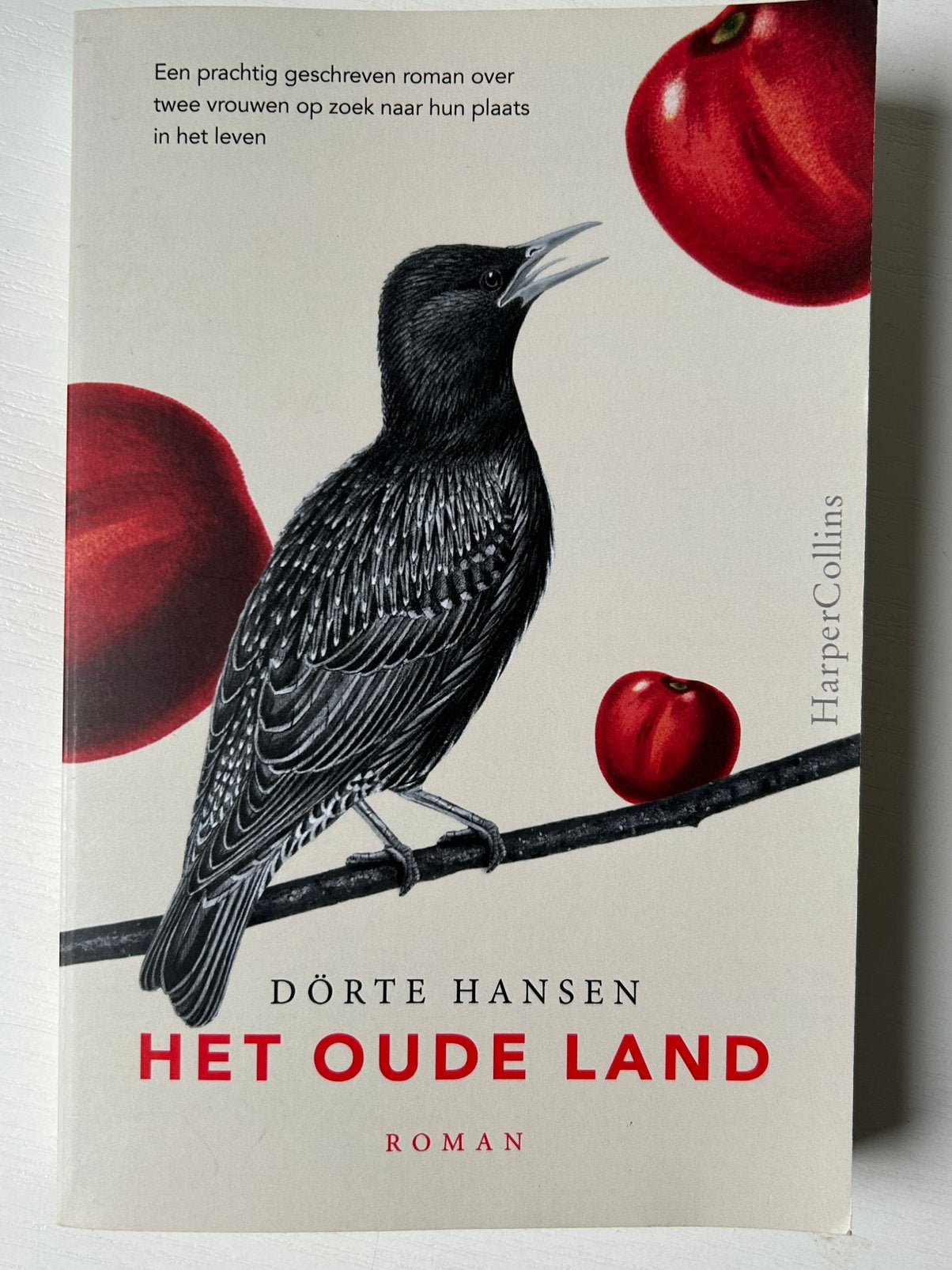 Dörte Hansen - Het oude land, Ophalen of Verzenden, Gelezen, Dörte Hansen