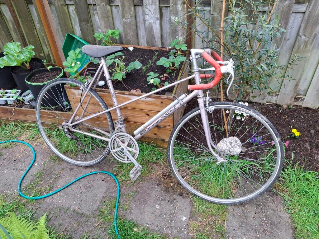 Oldtimer puch dames racefiets, Gebruikt, 26 inch, Meer dan 20 versnellingen, Ophalen