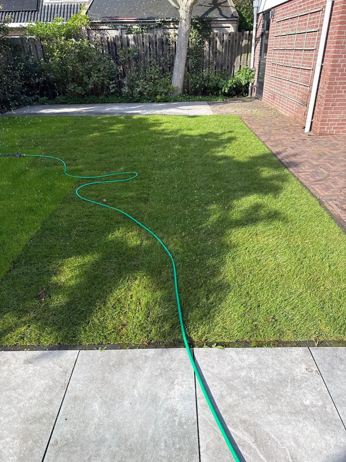 Vers gelegd gras, perfect voor uw tuin!, Ophalen of Verzenden, Zo goed als nieuw, 20 m² of meer, Gras