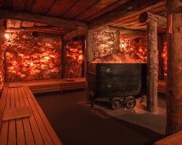 2x toegang sauna de Veluwse Bron samen 38,95, Tickets en Kaartjes, Twee personen, Overige soorten, Spa of Sauna