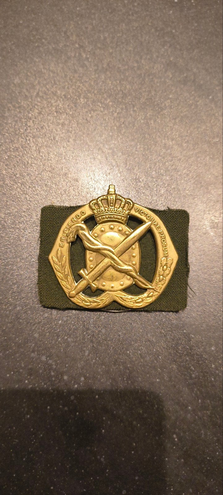 Baret Embleem Geneeskundige Dienst met Grote Kroon, Verzamelen, Militaria | Algemeen, Ophalen of Verzenden