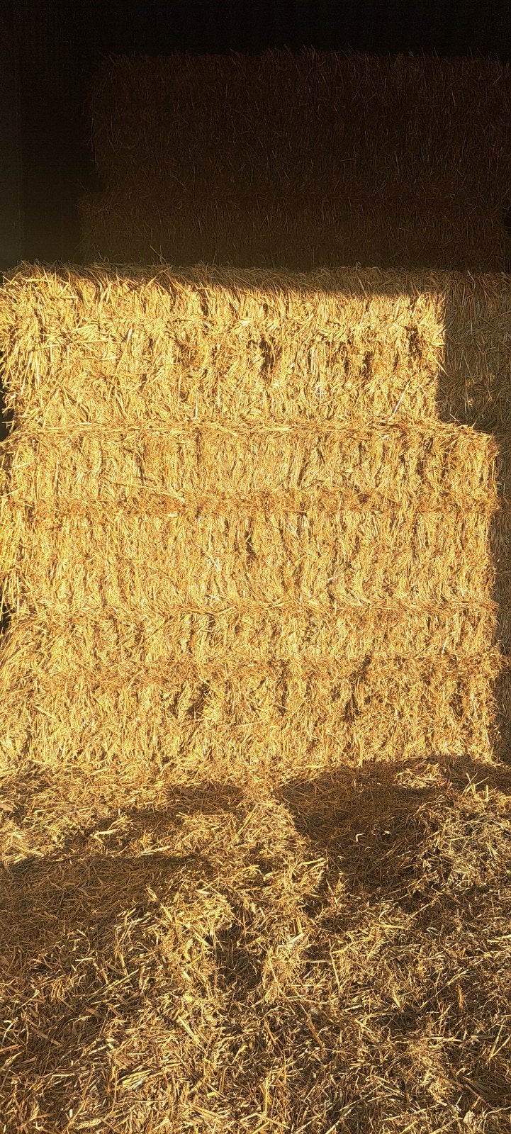 Tarwe stro grote pakken 340 kg en  400kg, Dieren en Toebehoren, Ophalen, Vee