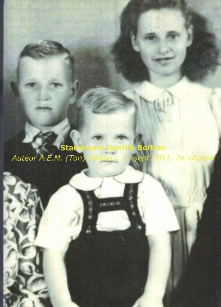Stamboom familie Beltzer - A.E.M. Beltzer, Boeken, Ophalen of Verzenden, Gelezen, A.E.M. Beltzer