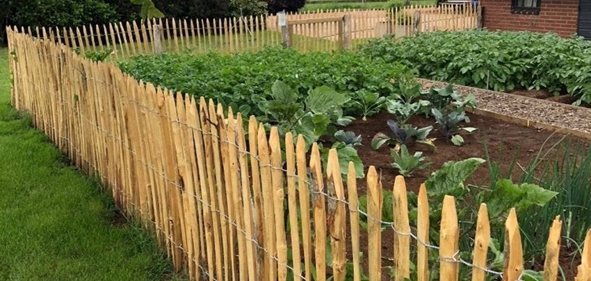 10m Frans hekwerk met 8 palen, kastanje, nieuw, Ophalen, Nieuw, Hout, Tuinhek