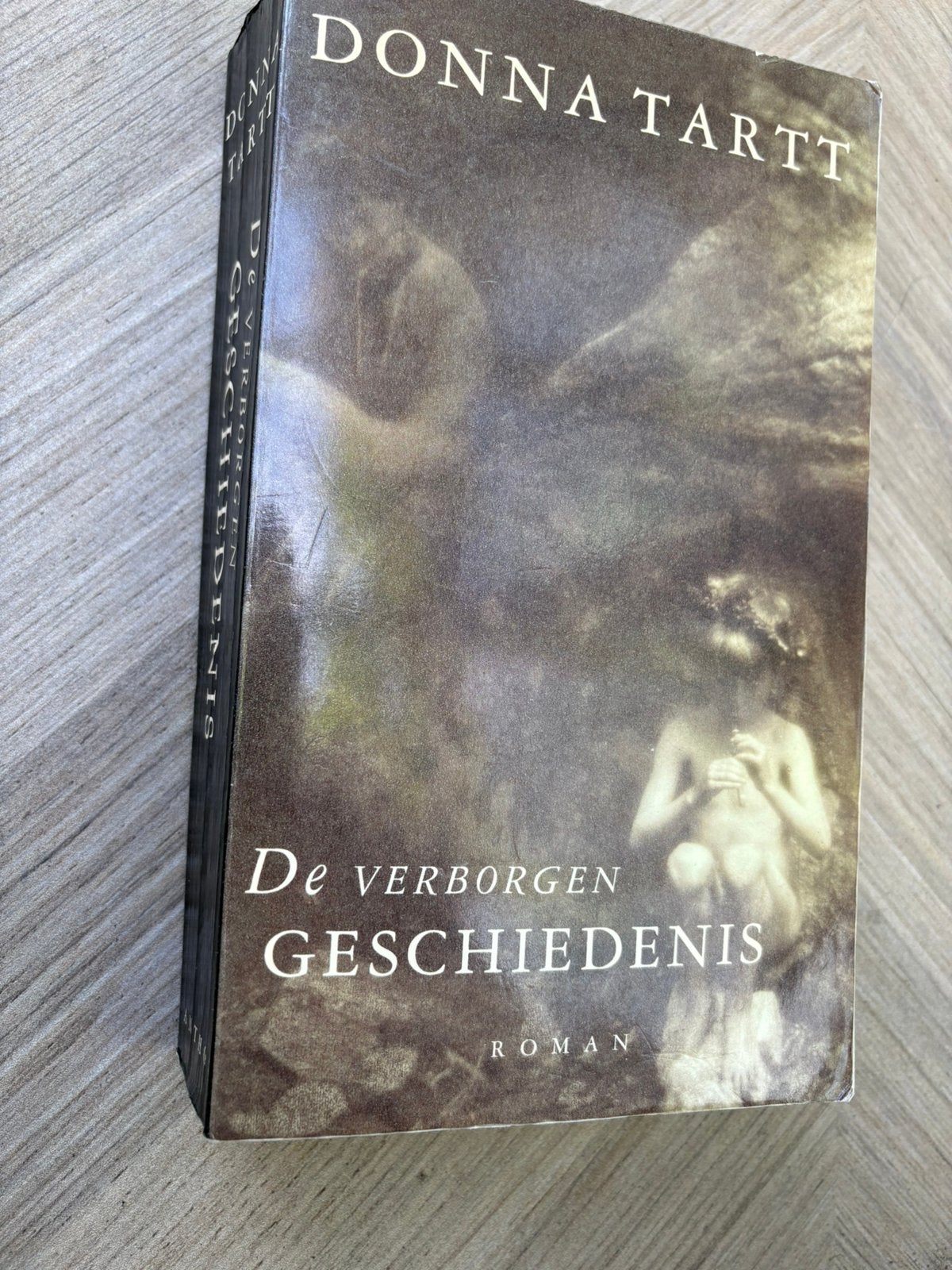 Donna Tartt - De verborgen geschiedenis, Boeken, Ophalen of Verzenden, Zo goed als nieuw, Donna Tartt